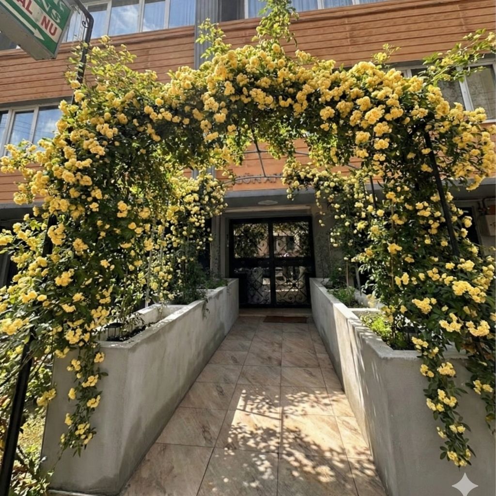 Otantik terapi alanı